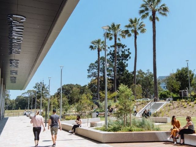 Arcadia’s Call to Action